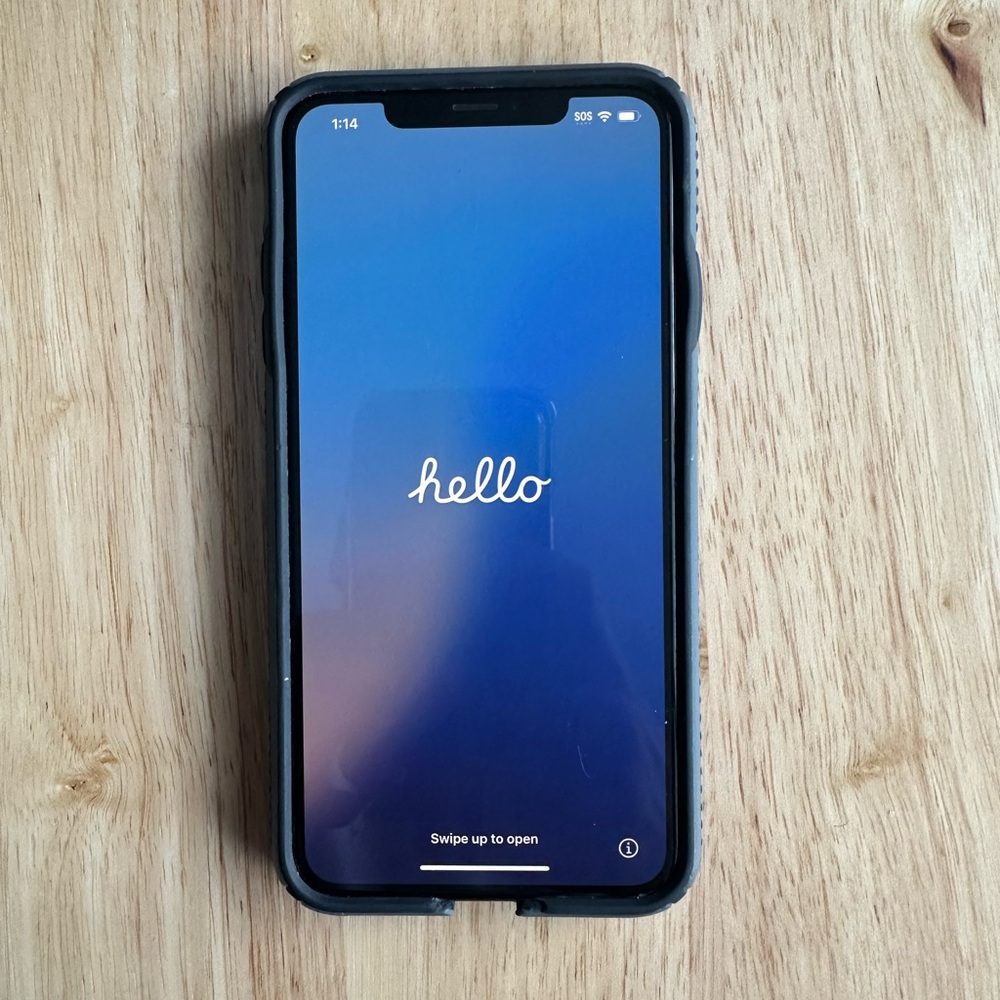Apple IPhone XS Max  256 GB  Unlocked